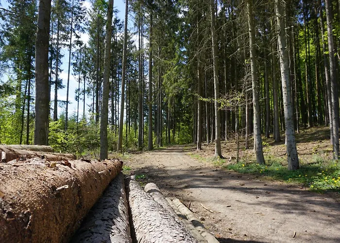 109 - Seepark Holiday home Kirchheim (Hessen)